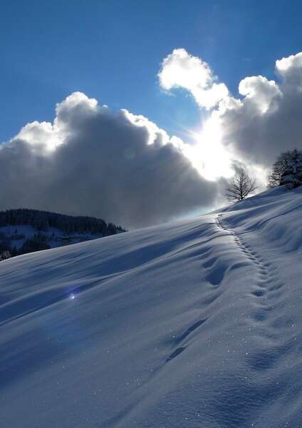 Day-long snowshoe outing