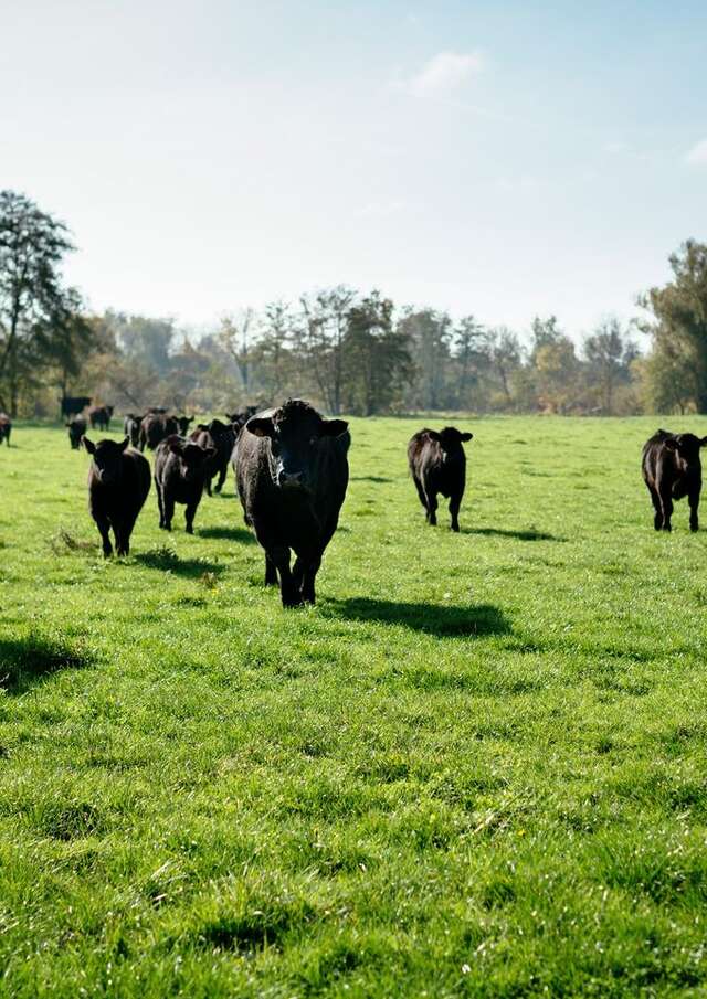 Ferme du Trèfle, les coulisses de l'innovation