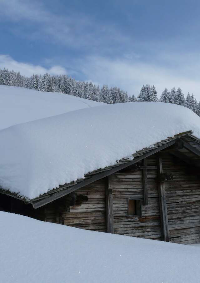 Sortie raquettes à neige  Alpages enneigés du Mont Bisanne