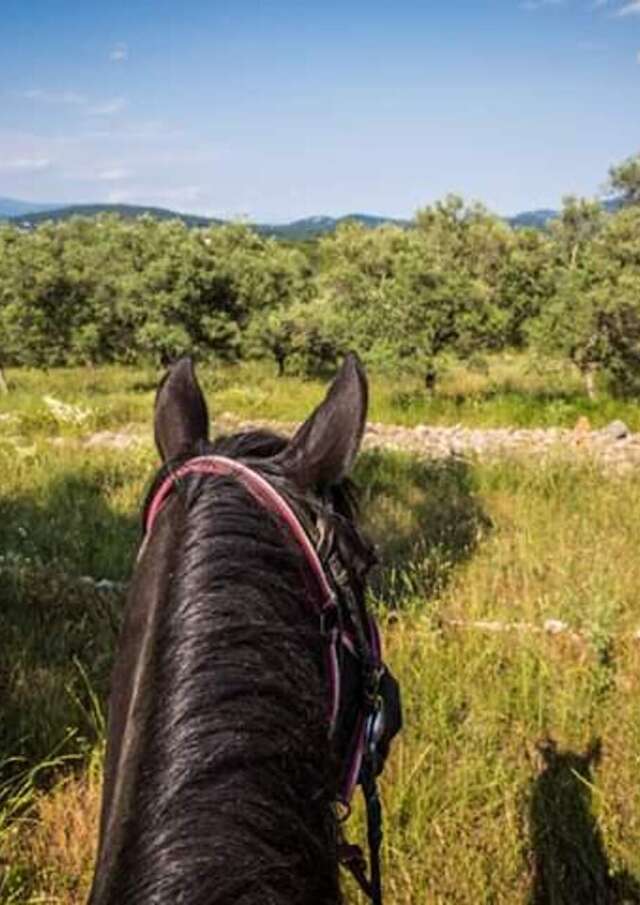 promenade découverte" réserve biologique " au lac de St Cassien 2h