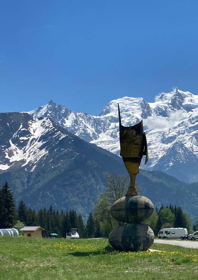 Parcours soft : Le Mont-Blanc depuis le col de plaine joux