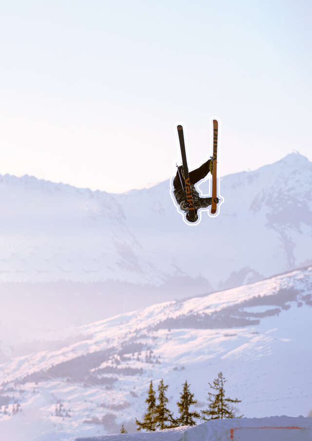 Soirée Show live : Winter X-Sports show