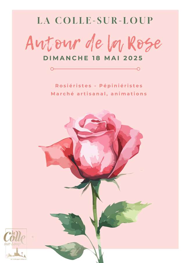 Autour de la Rose