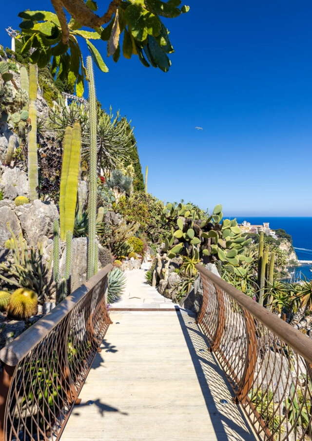 Jardin Exotique de Monaco et Grotte de l'Observatoire