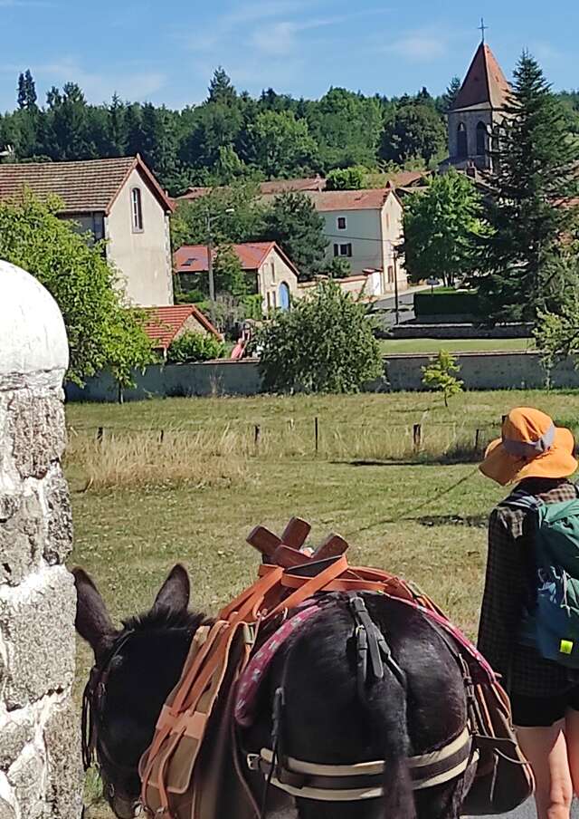 Zigz'Anes Promenade avec les ânes - Atelier découverte de l’âne - Médiation asine