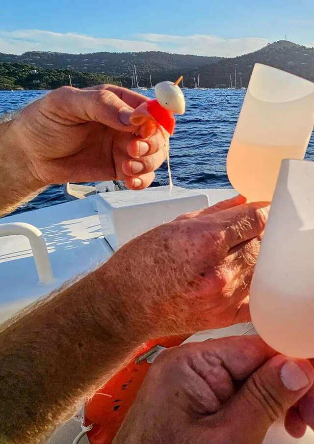 Croisière Dégustation - Un apéro en Mer 100% Électrique