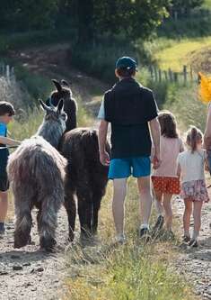 Balad'alpagas avec la ferme du Champ Rouge
