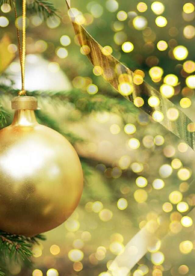 Lancement des illuminations de Noël