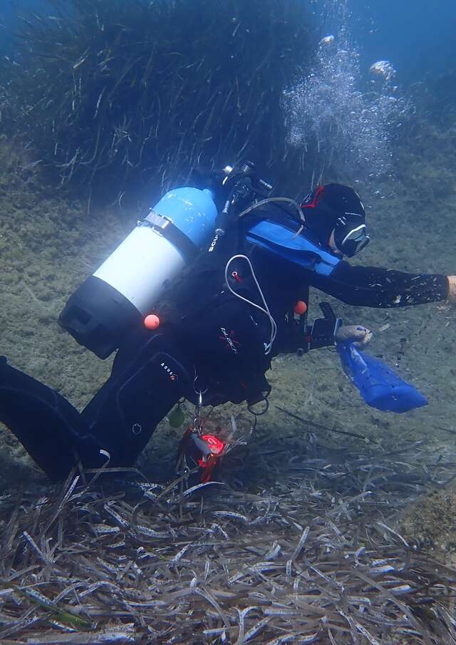 Nettoyage des fonds marins