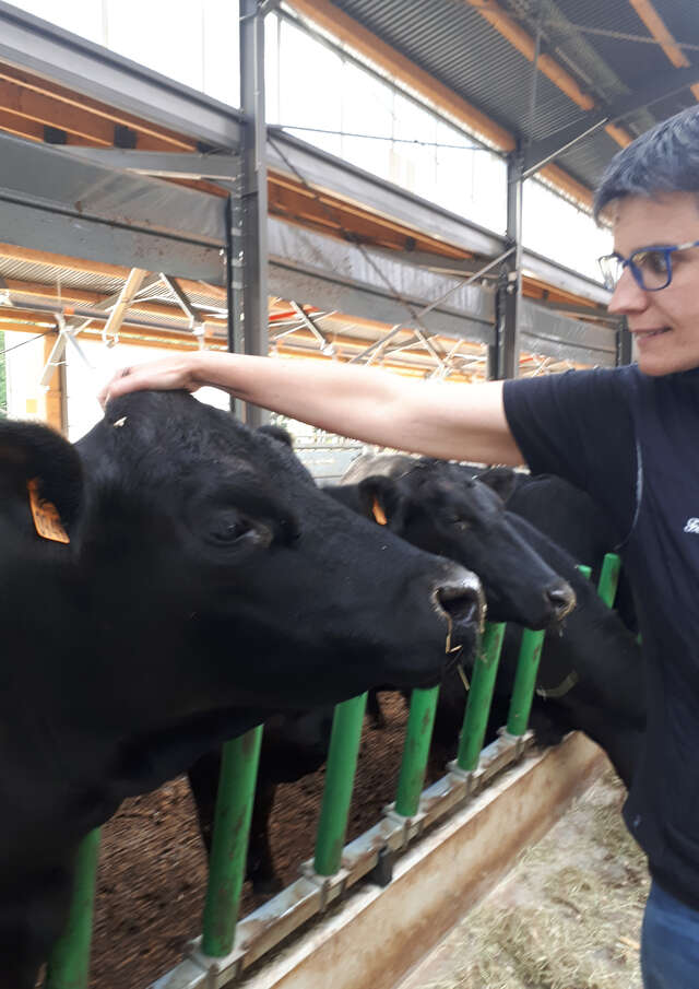 Ferme du Trèfle, les coulisses de l'innovation