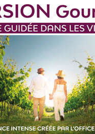 Immersion gourmande : Balade dans les vignes