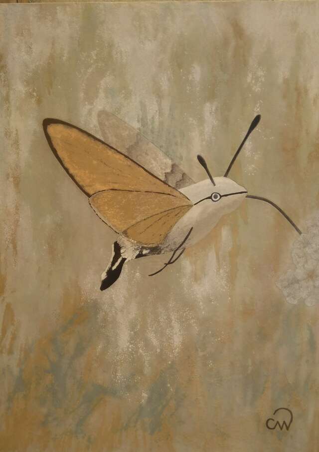 Atelier Les Cinq Terres