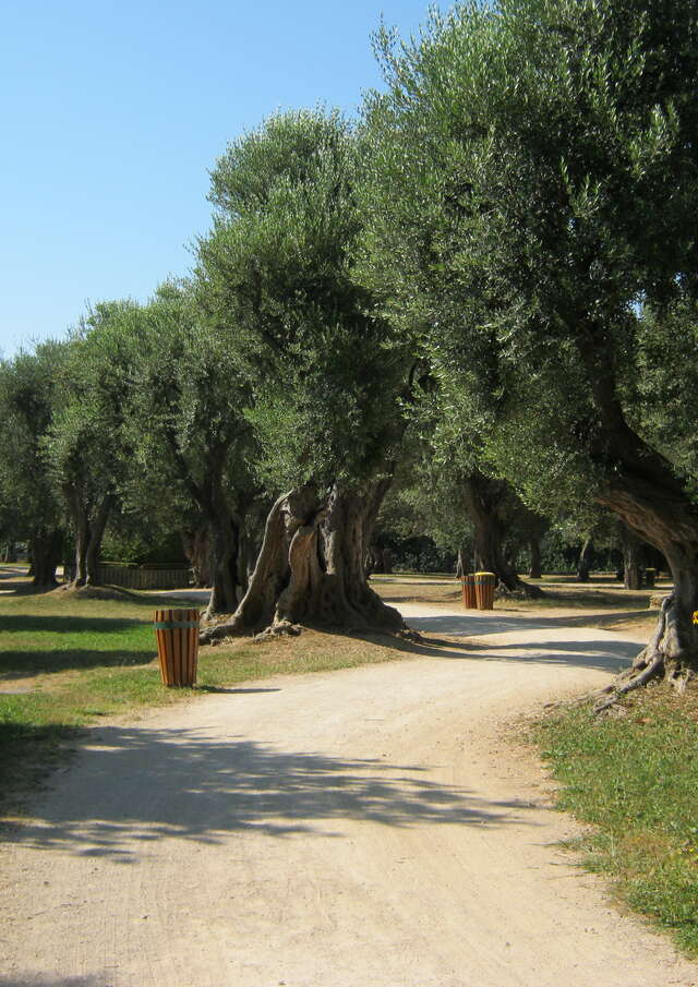 Parco Cap Martin