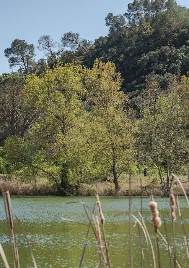 A Sunday at the Sauvebonne ponds