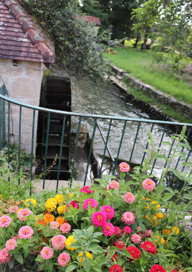 Verjon, au fil de l'eau