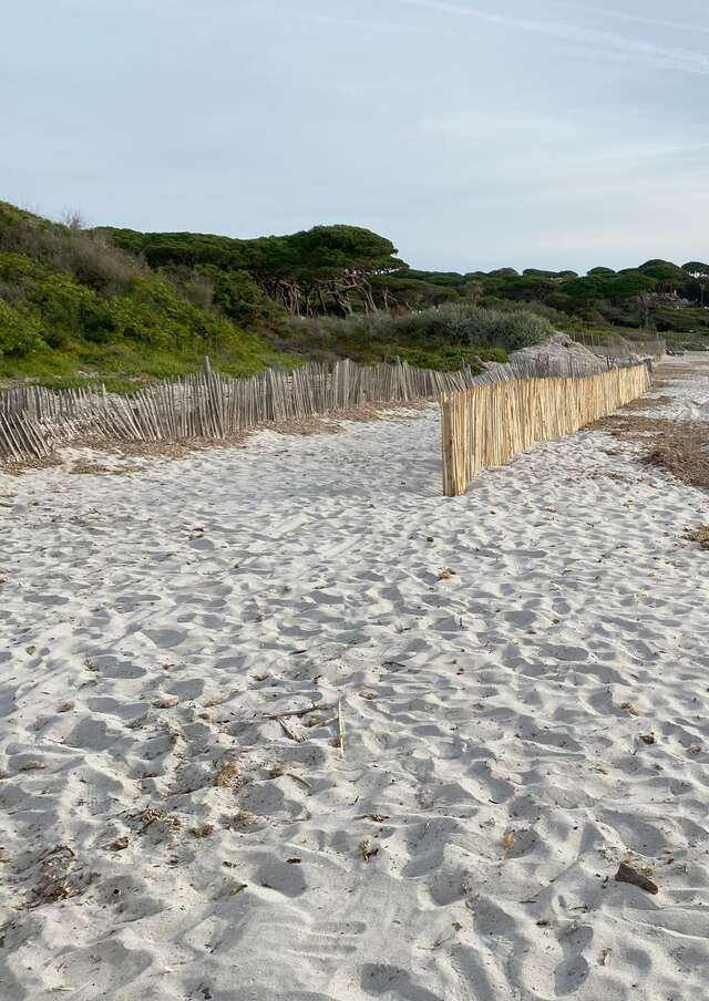 Nettoyons le Sud à Saint-Tropez