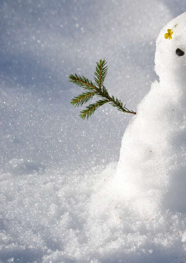 Concours de bonhomme de neige rigolo