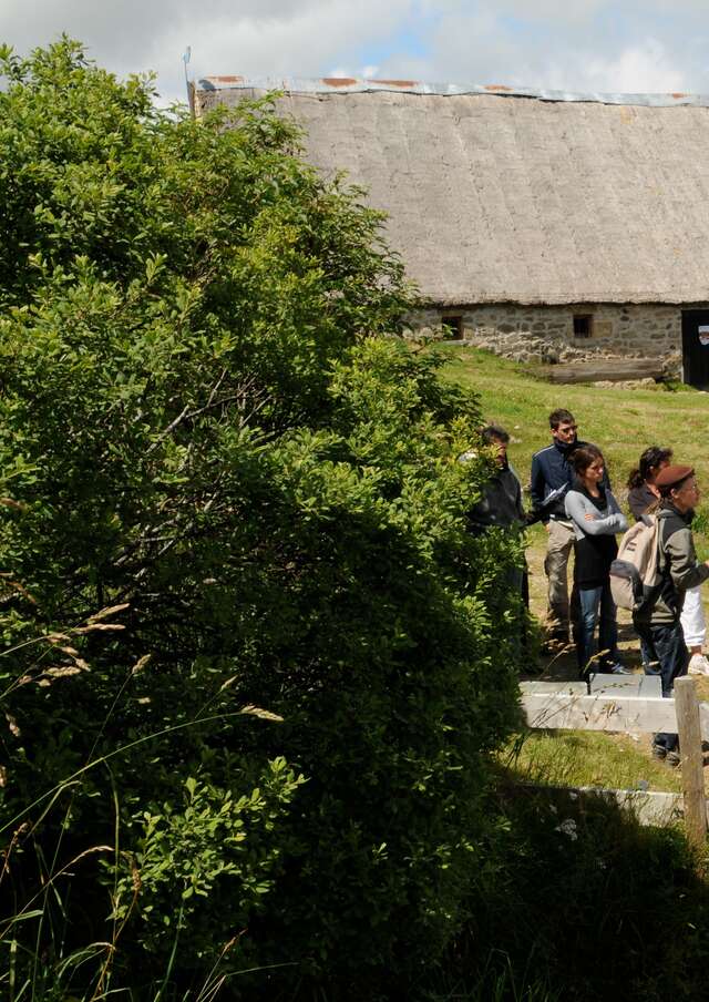 Visits, walking and food service in Jasserie du Coq Noir (Group)