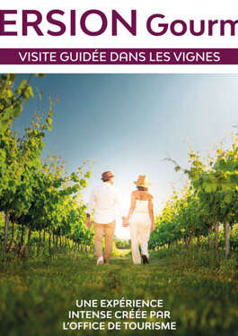 Immersion gourmande : Balade dans les vignes