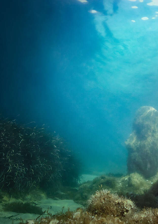 Ecomusée sous-marin de Cannes par Jason deCaires Taylor