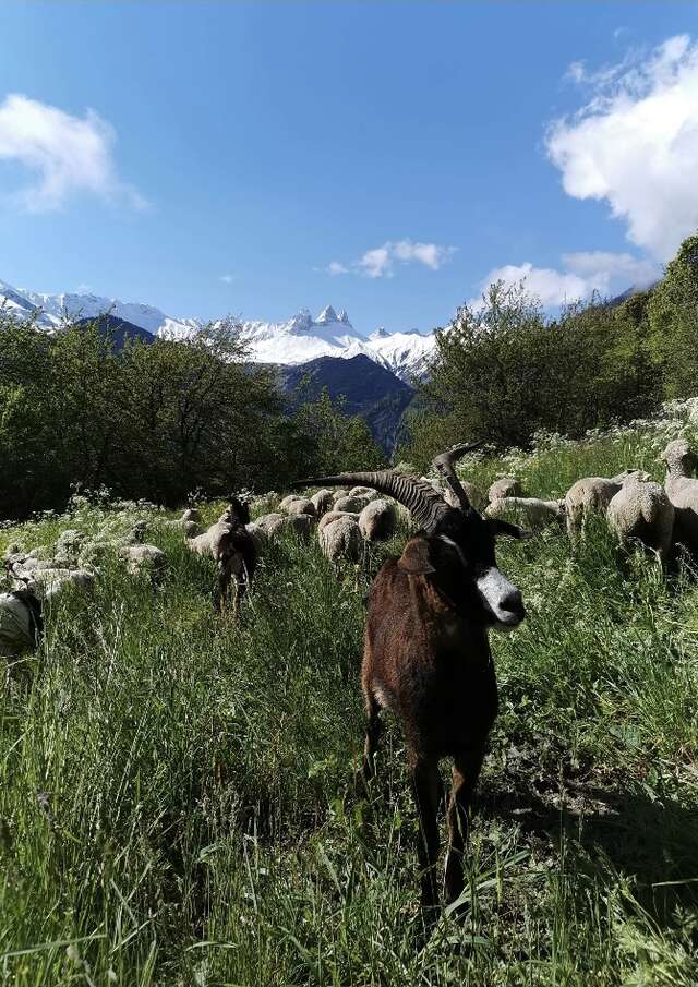 La Bergerie de l'Etoile