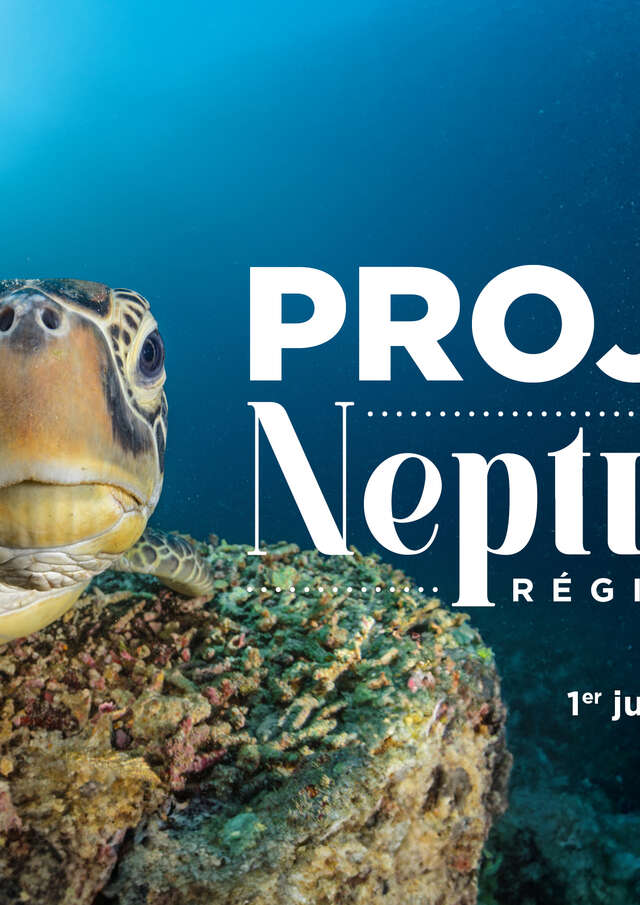 Project Neptune: a Mediterranean underwater odyssey accessible to all