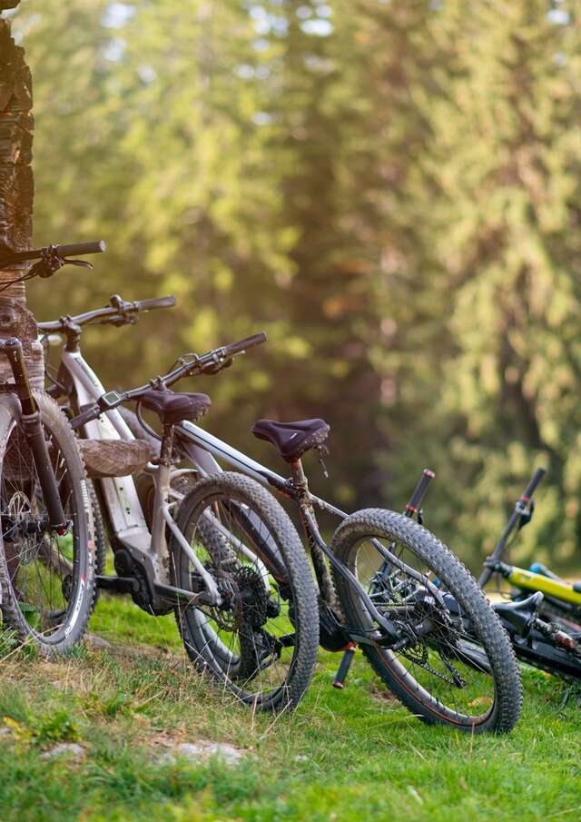 E-bike trial