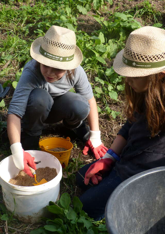 Activité enfant "Les mains dans la terre"