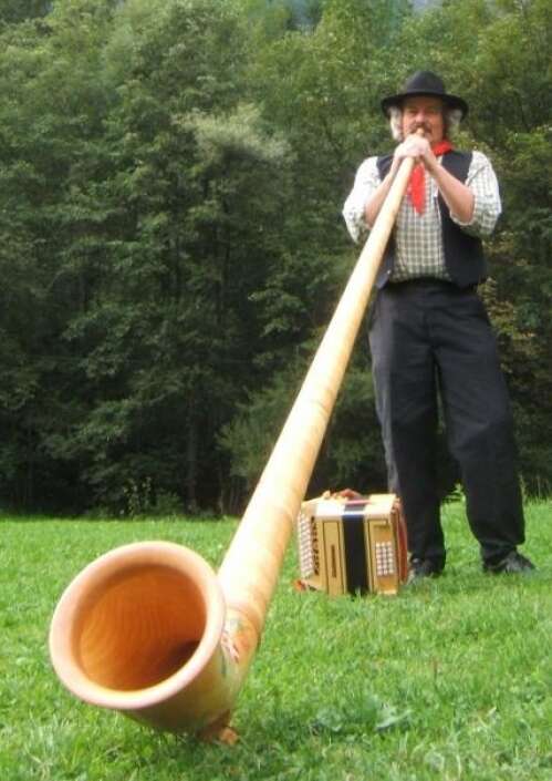 Sylvestre Le Ménestrel : Animation musicale en bateleur