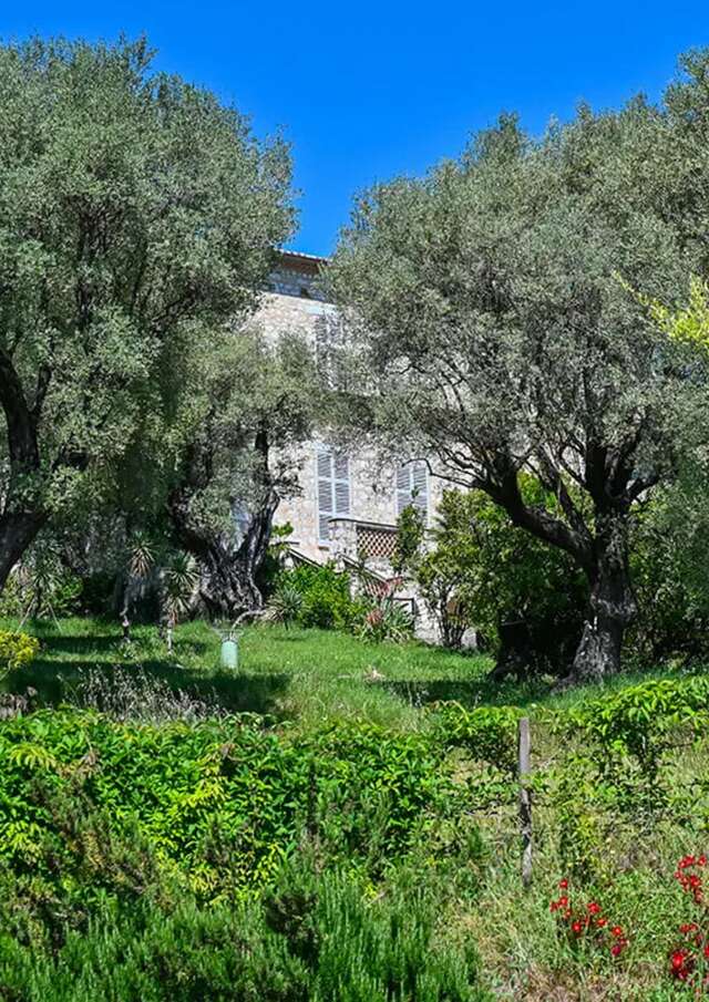 Il giardino del Museo Renoir - Domaine des Collettes