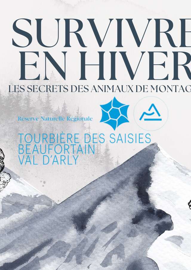 Survivre en hiver : les secrets des animaux de montagne