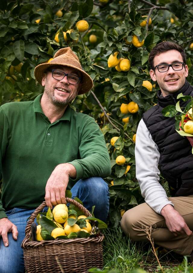 Escapade au coeur du Citron de Menton IGP