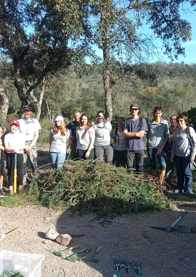 Chantier nature : La lutte contre le mimosa se poursuit pour préserver la biodiversité !