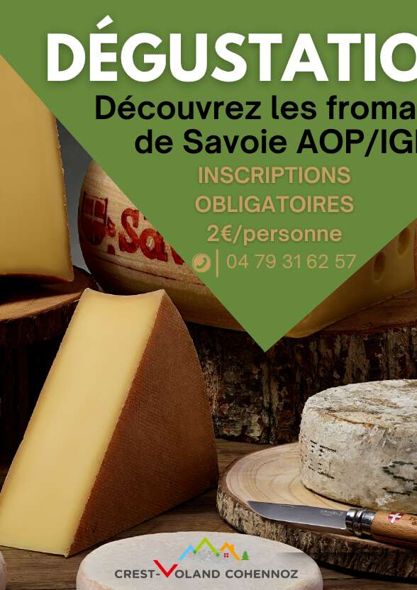 Dégustation de fromages locaux