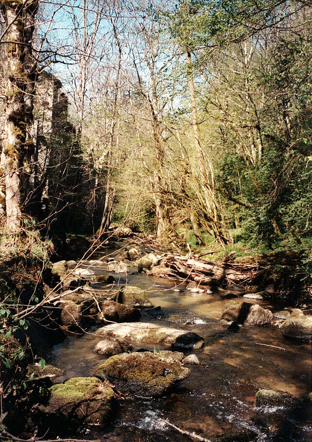 Atelier en famille - Meunier tu dors ?