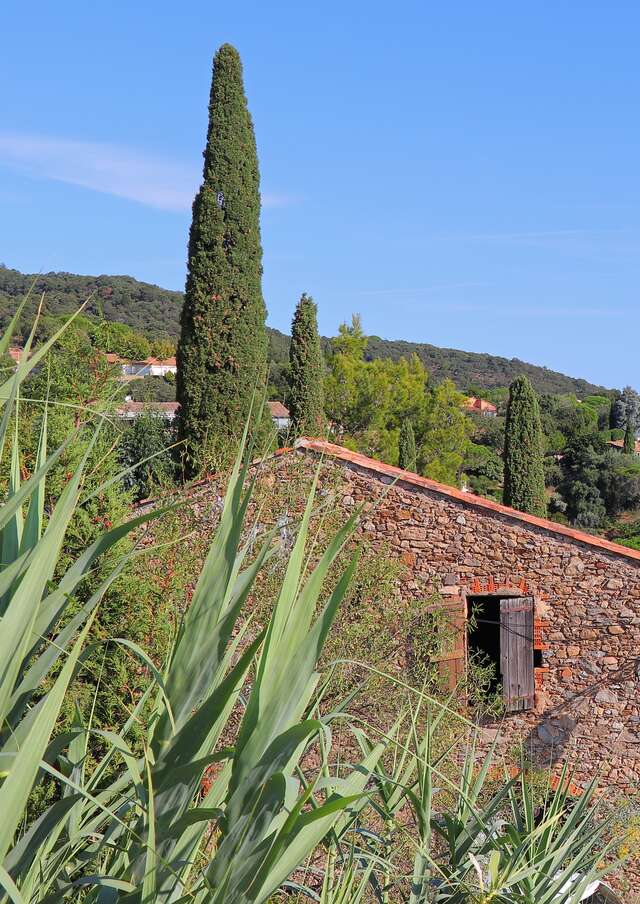 The Grand Rendez-Vous of the National Park in Ramatuelle