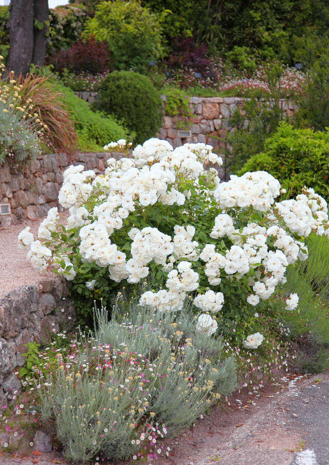 Jardin Parfumé - Profumeria Fragonard