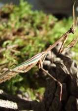 Ecomusée Vivant de Provence