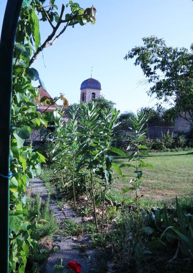 Verjon, de l'église au château