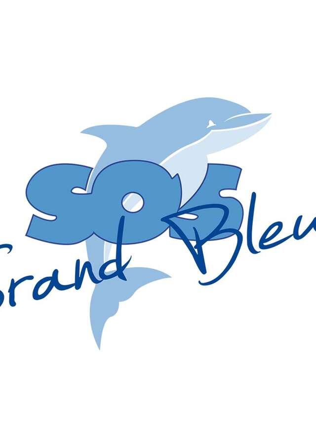 Opération de nettoyage des fonds marins avec SOS Grand Bleu