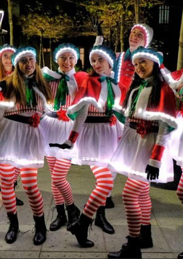 Un Noël à la montagne - Parades