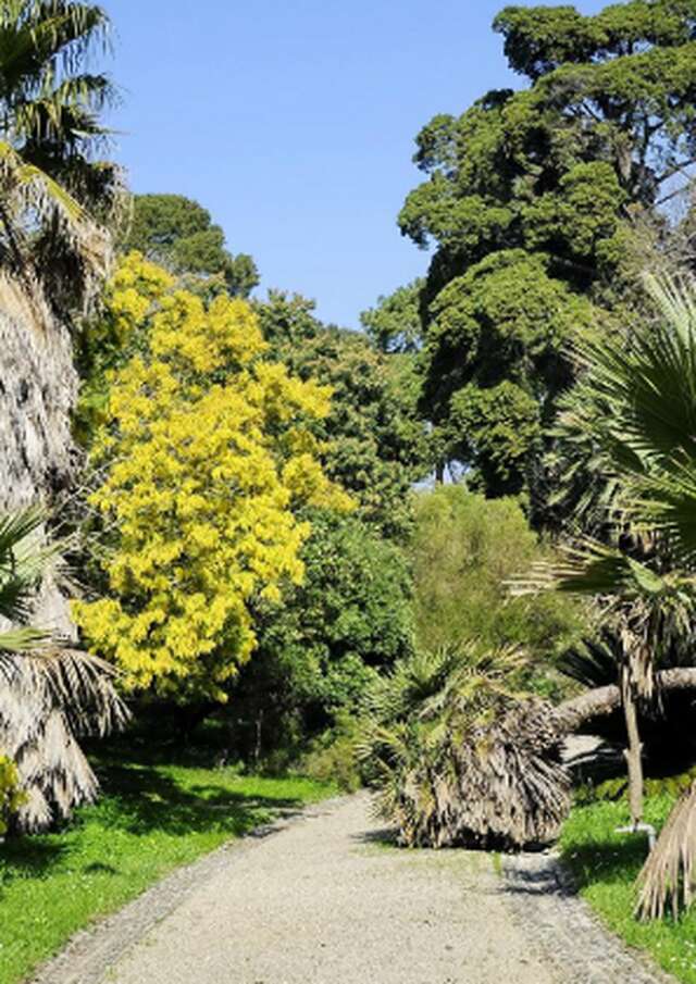 Jardin botanique Villa Thuret
