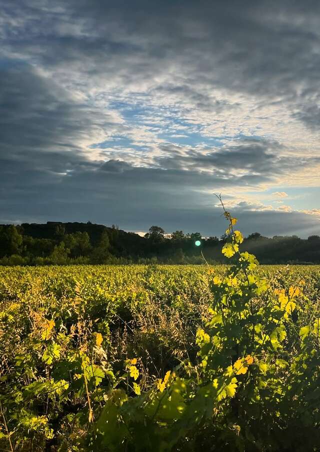 Domaine de l'Ancien Prieuré