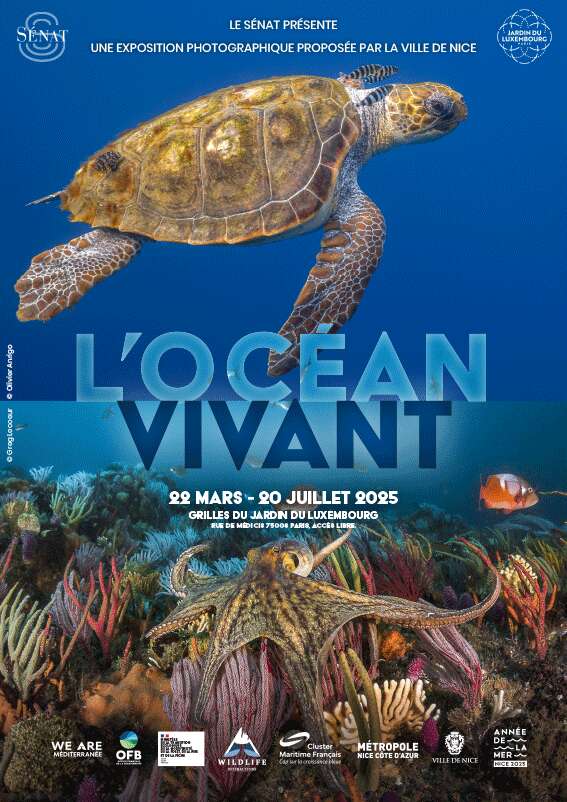 L'océan vivant