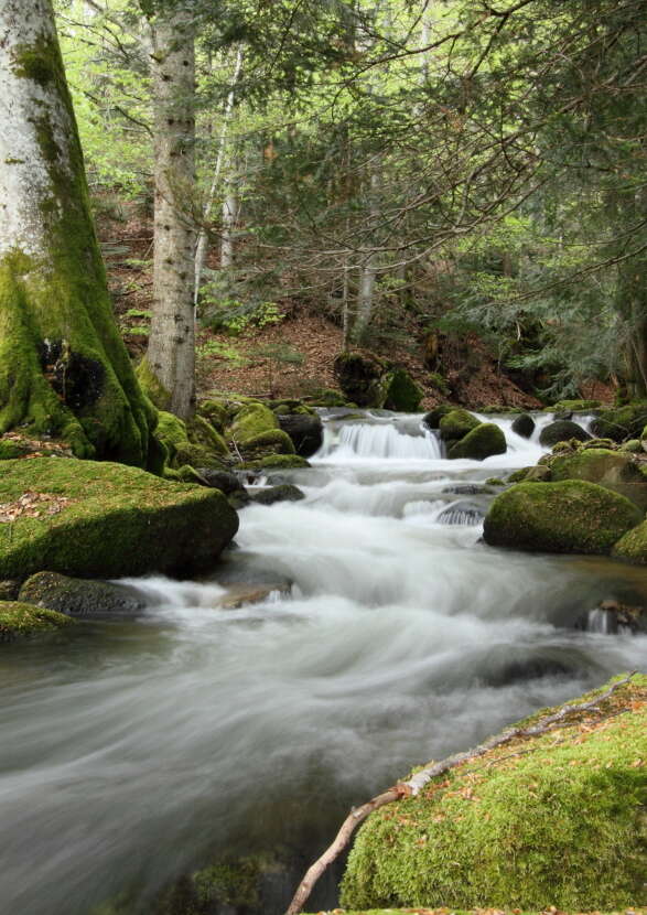 La cascade de Gomot