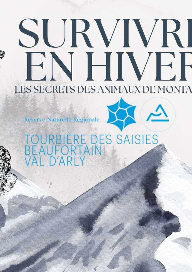 Survivre en hiver : les secrets des animaux de montagne