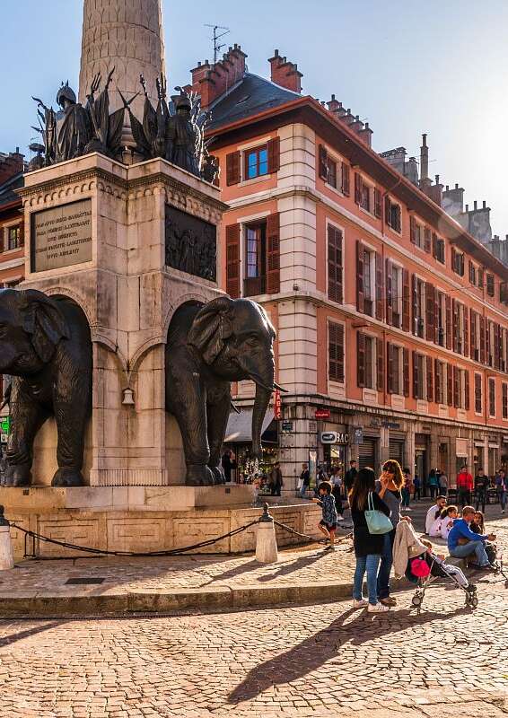 Promenade Confort : En suivant les éléphants