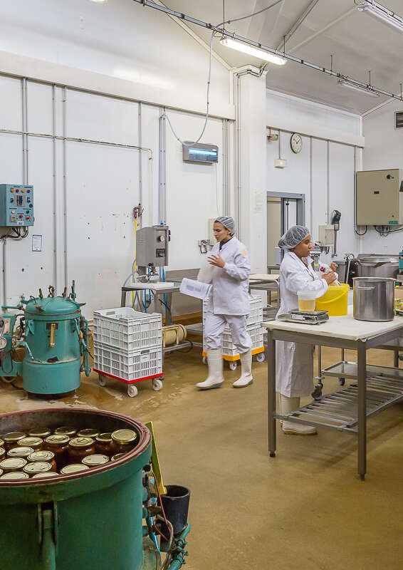 Dans les coulisses de Sardélices... Voyage en savoir-faire gourmand