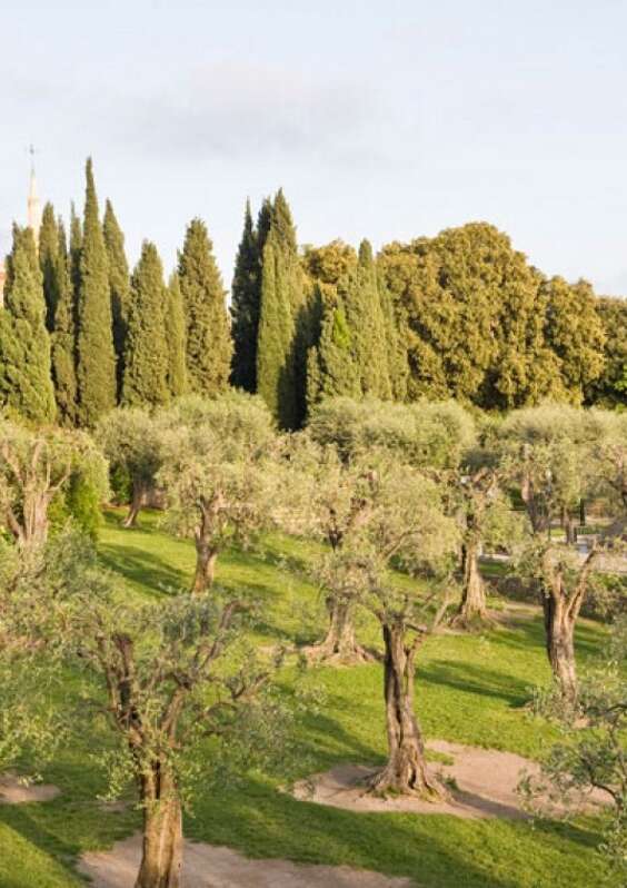 Jardin des Arènes de Cimiez