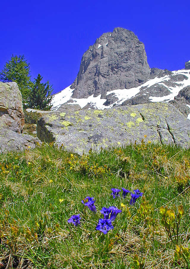 Le  Mercantour : 70 ans de protection de la nature raconté par le plus ancien garde-moniteur en service
